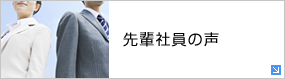 先輩社員の声
